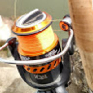 Meet your Posher, Kameron